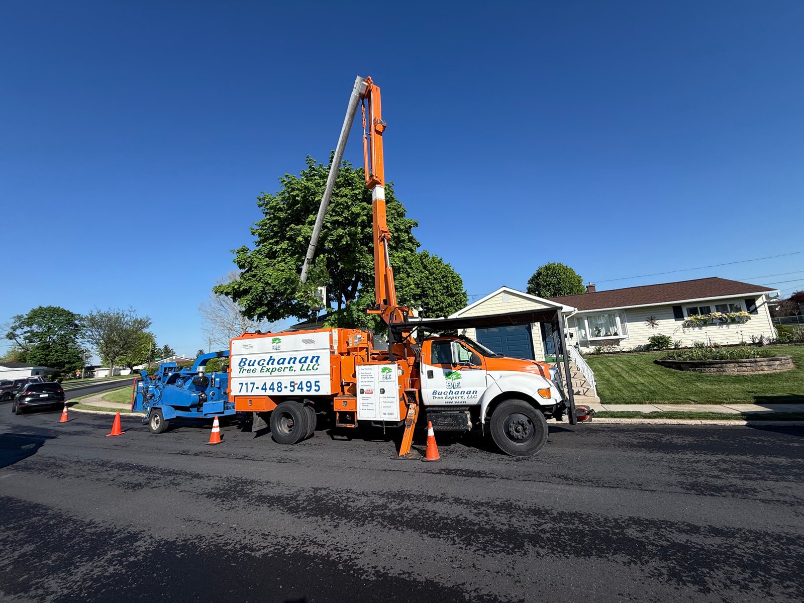 Tree care in the Lehigh Valley
